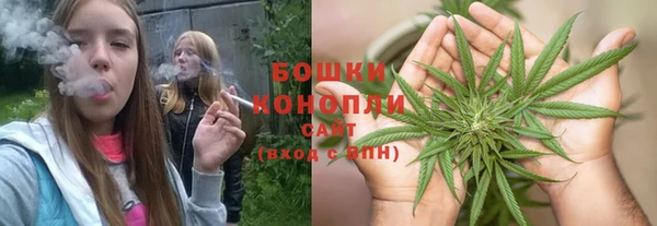 прущие крисы Киренск