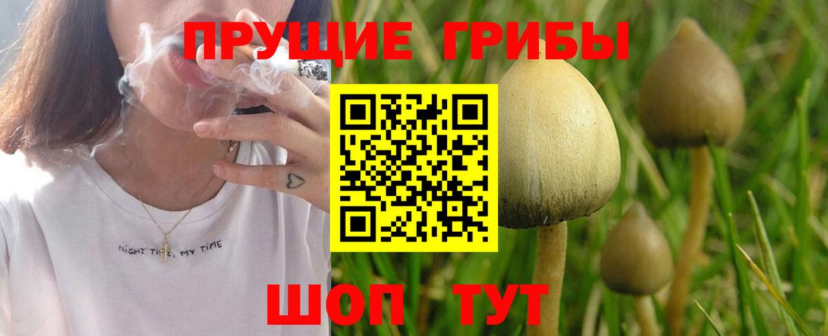 Псилоцибиновые грибы Psilocybine cubensis  Вход с VPN  Ноябрьск  Псилоцибиновые грибы Cubensis 